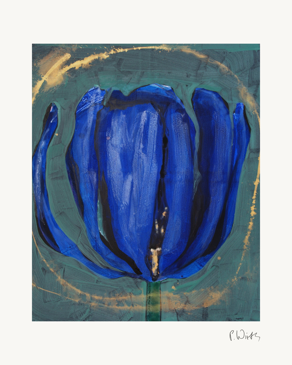 Blaue Tulpe von Peter Wirth, das ganze Blatt mit weißem Rand und gedruckter Signatur