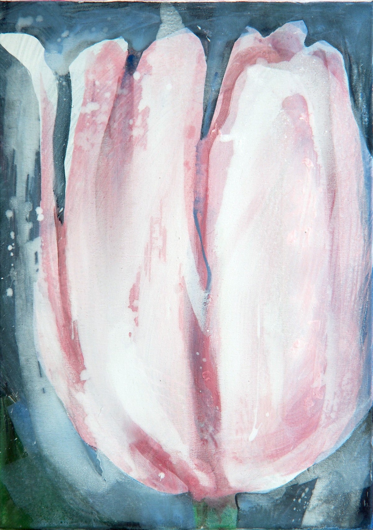 A large-scale, gestural painting of a pink bloom against a cool background. The fluid brushstrokes emphasize the delicate texture of the petals — Peter Wirth