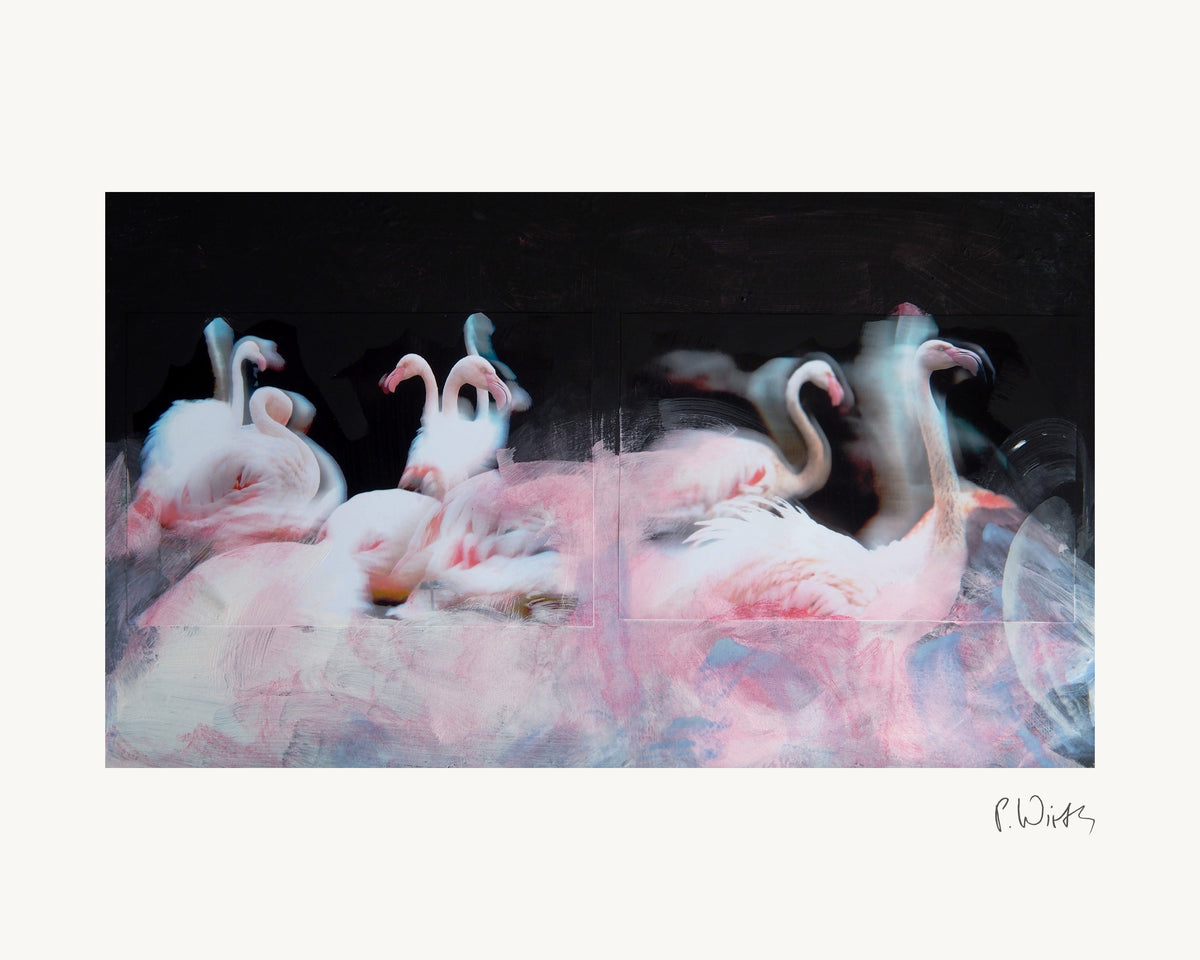 Flamingos II von Peter Wirth, das ganze Blatt mit weißem Rand und gedruckter Signatur