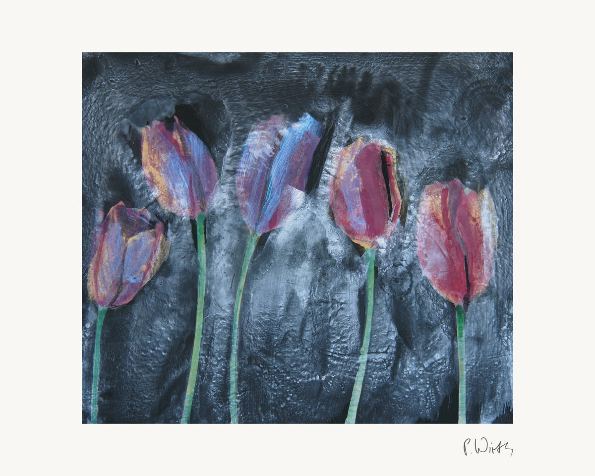 Fünf Tulpen von Peter Wirth, das ganze Blatt mit weißem Rand und gedruckter Signatur