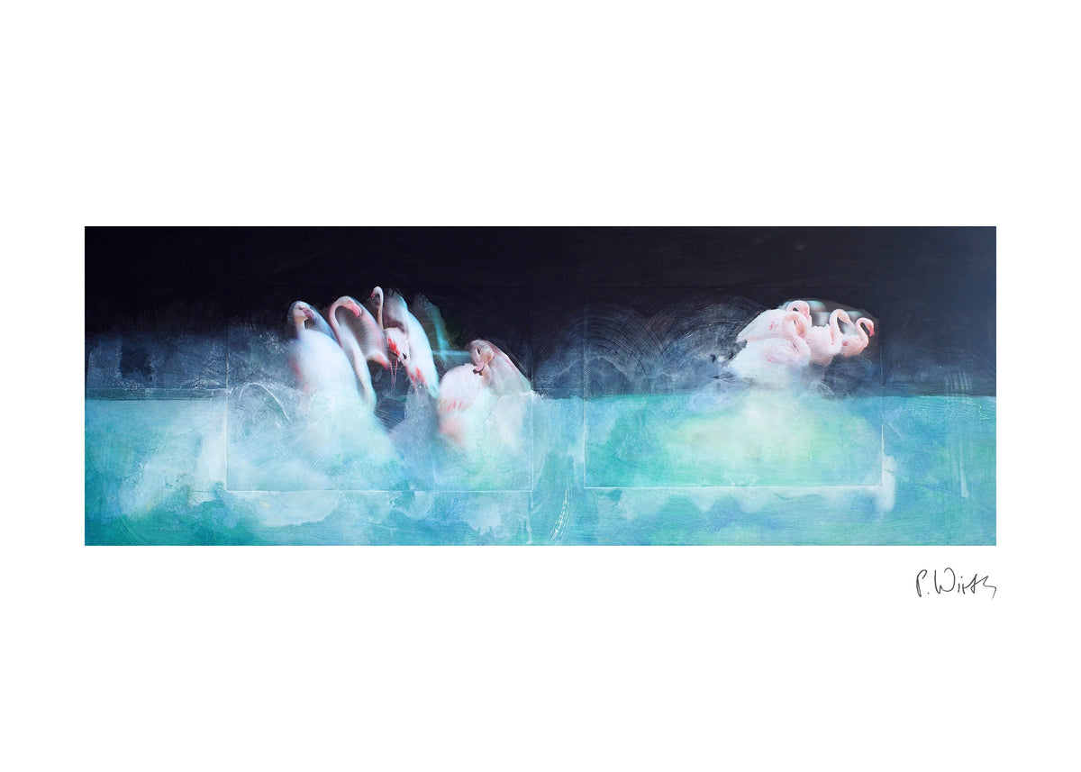 Flamingos im türkisen Licht — Fine-Art-Druck nach Peter Wirth, Blatt mit weißem Rand und Signatur