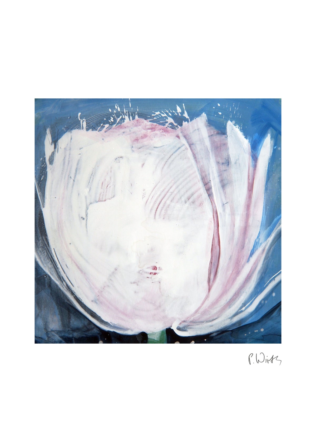 Open Tulip in the Dark — fine art print after Peter Wirth, sheet with white border and signature