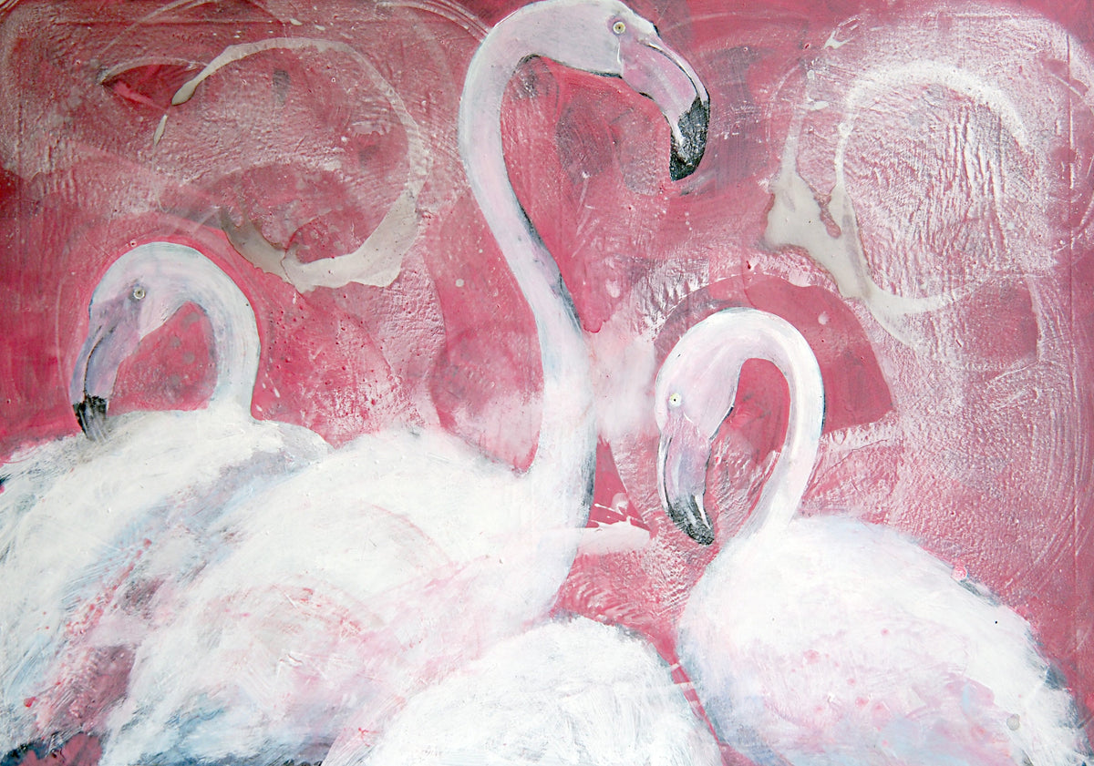 Flamingos
