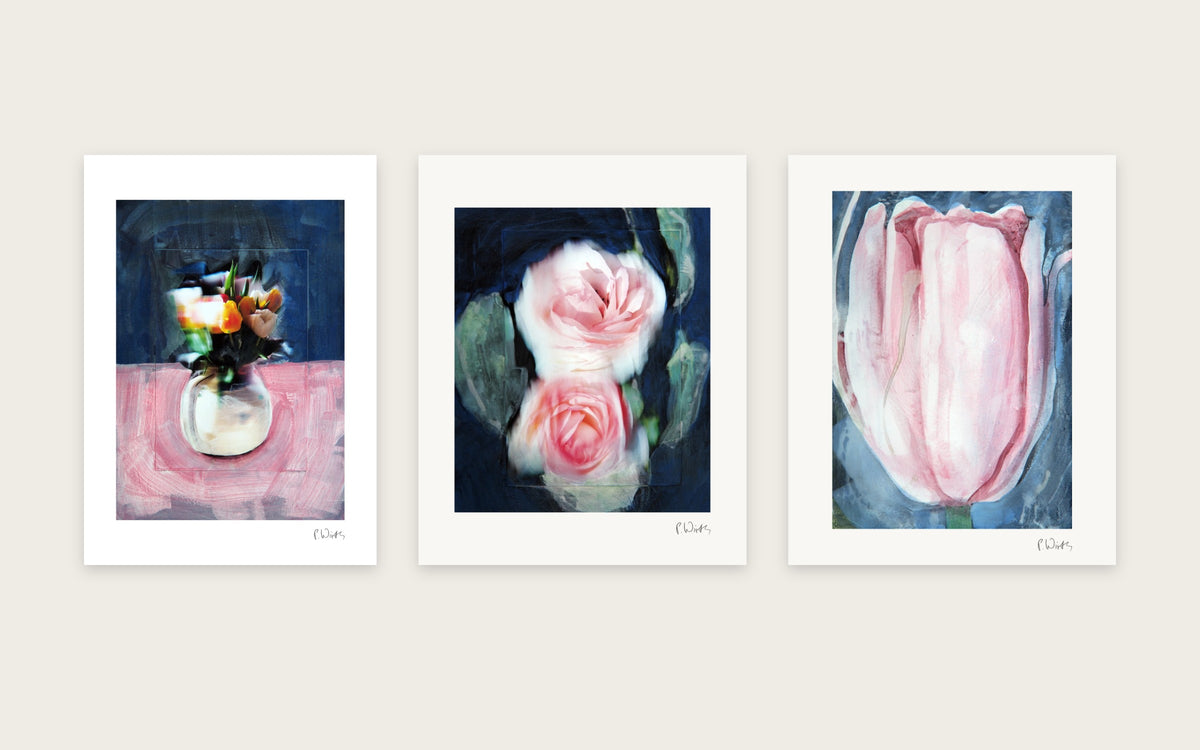 Pink and Rose by Peter Wirth, a set of 3 prints shown side by side