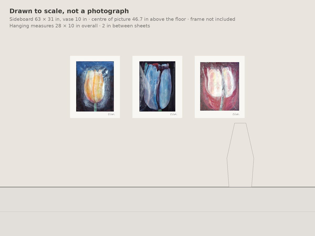 One Bloom · Three by Peter Wirth, the hanging on the wall, drawn to scale
