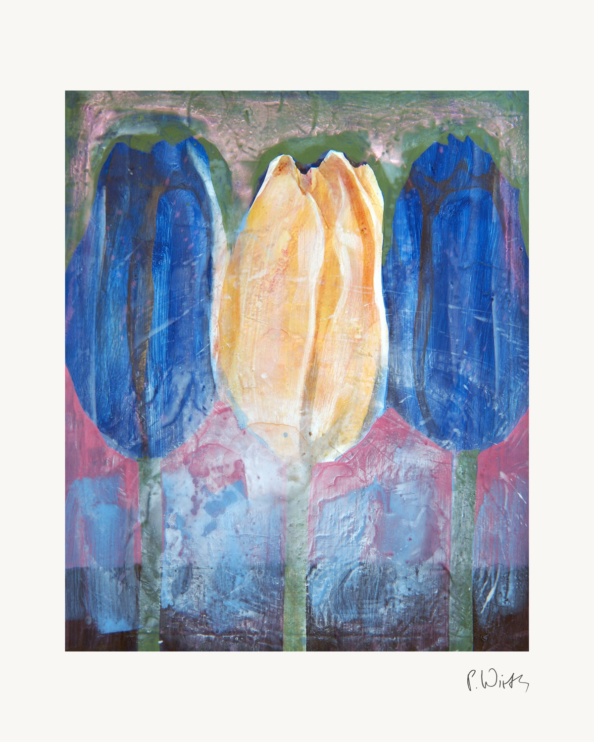 Tulips I by Peter Wirth, the full sheet with its white margin and printed signature