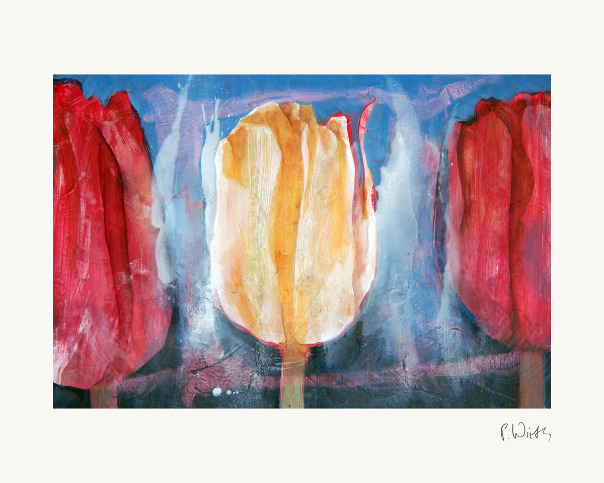 Tulips II by Peter Wirth, the full sheet with its white margin and printed signature