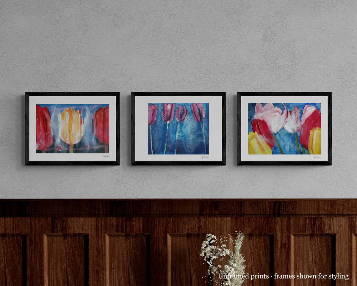 Tulips in Blue Light · Three by Peter Wirth, the set shown framed on a wall – unframed prints, frames shown for styling