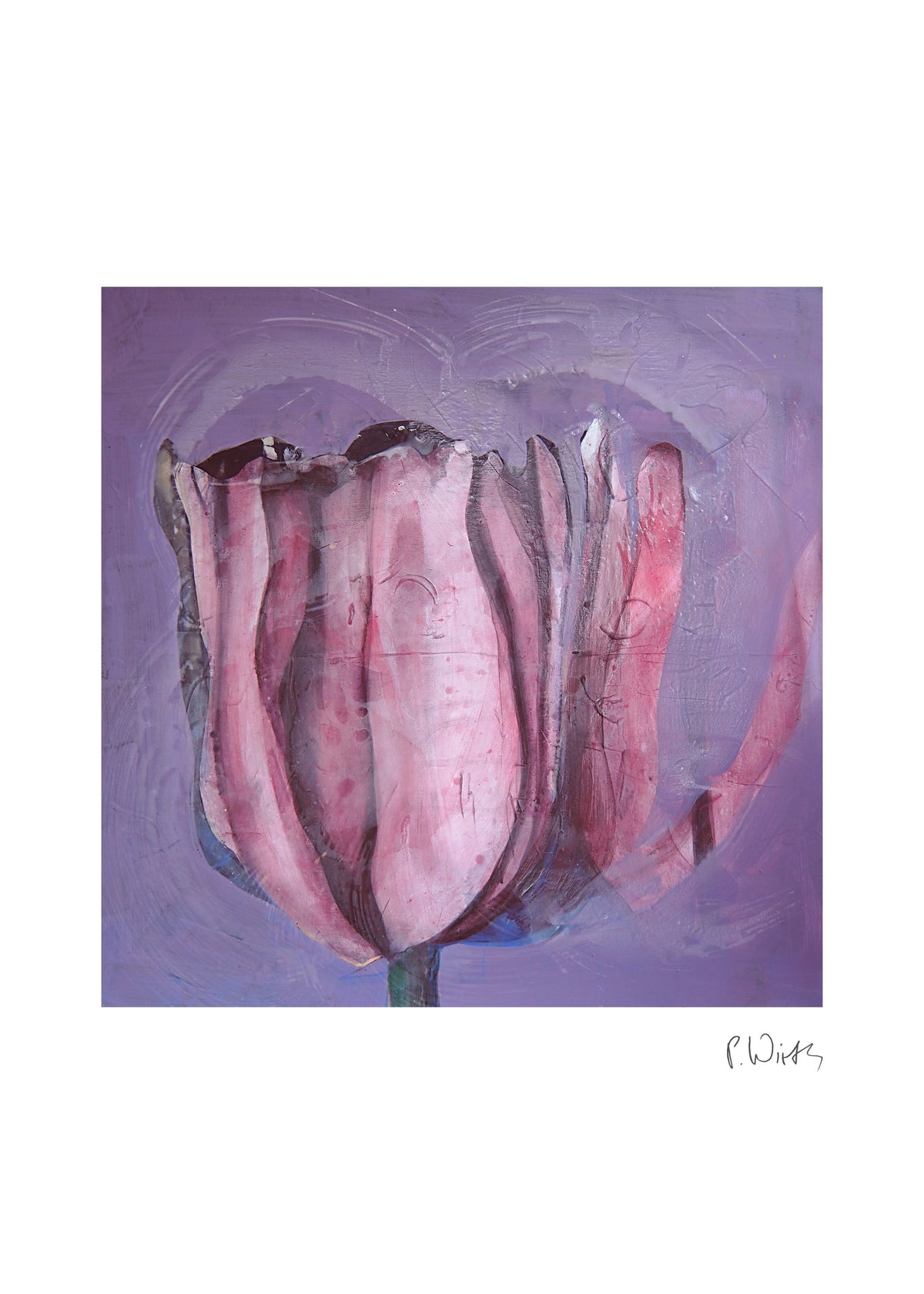 Tulpe auf Flieder — Fine-Art-Druck nach Peter Wirth, Blatt mit weißem Rand und Signatur