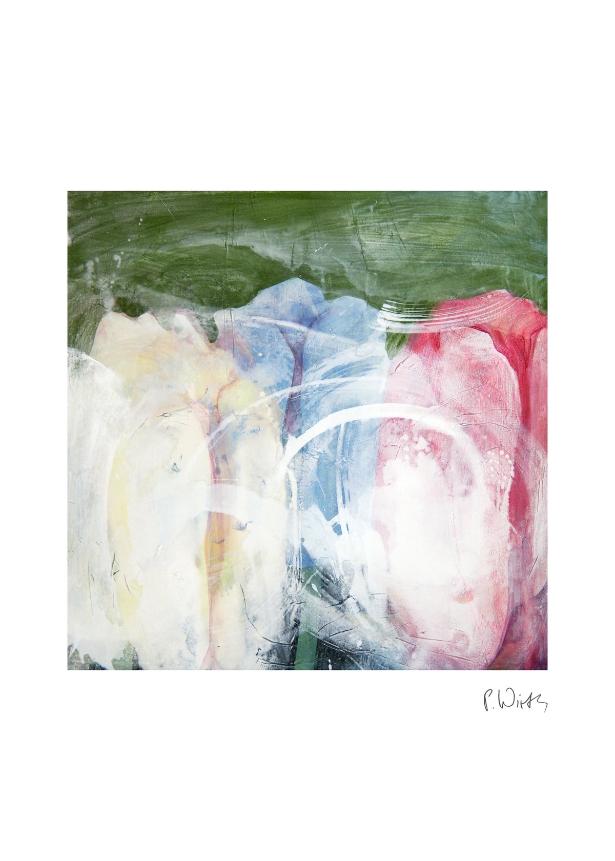 Tulips in Cream, Blue and Red — fine art print after Peter Wirth, sheet with white border and signature