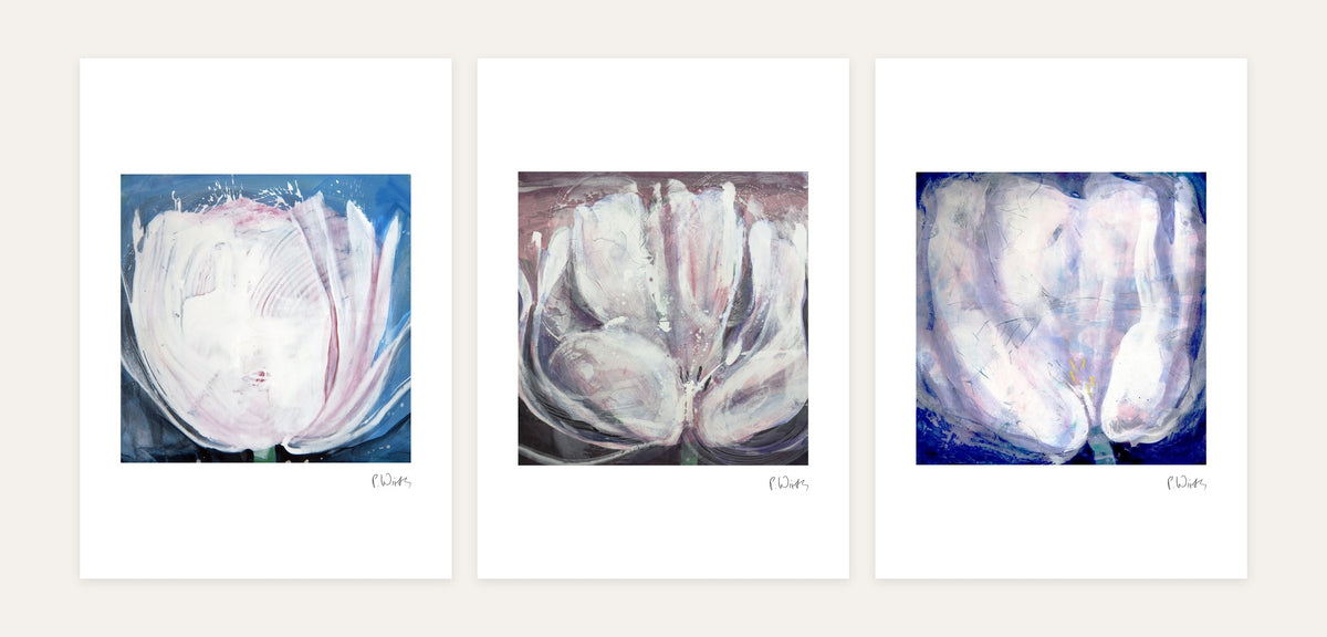 White Tulips, Square · Three – every sheet of the set with its white margin and printed signature, laid out side by side