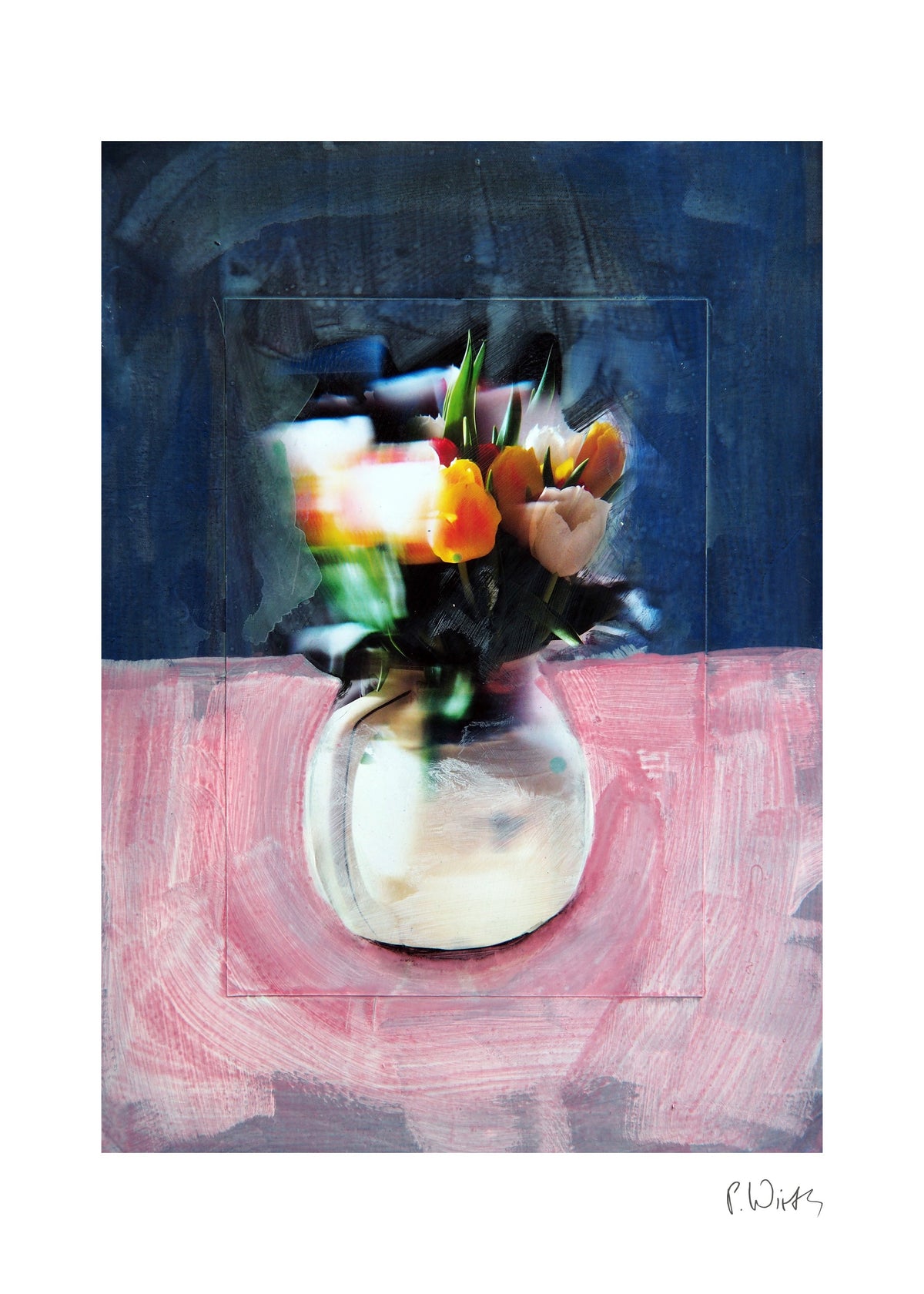 Strauß auf Rosa — Fine-Art-Druck nach Peter Wirth, Blatt mit weißem Rand und Signatur