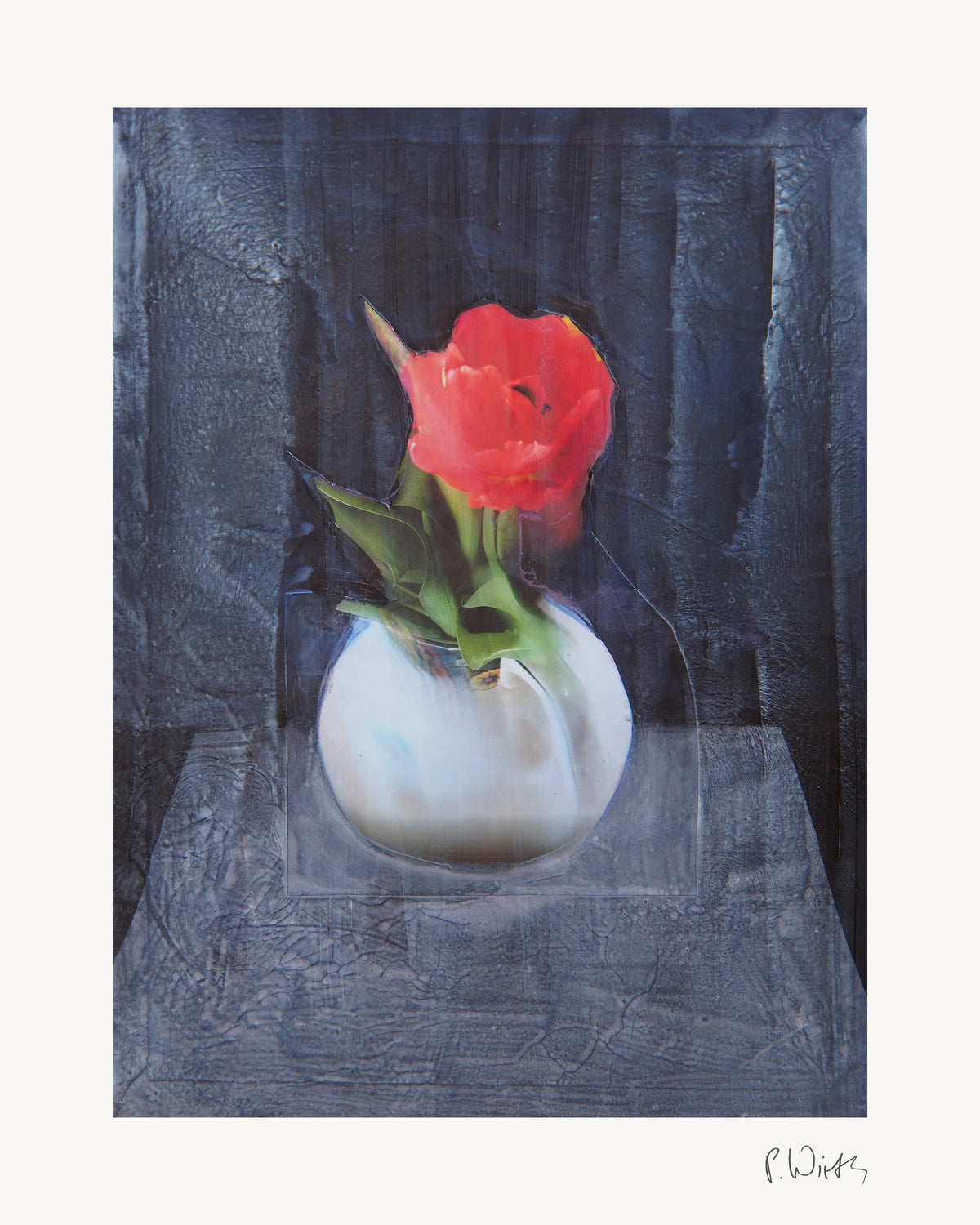 Red Tulip by Peter Wirth, the full sheet with its white margin and printed signature