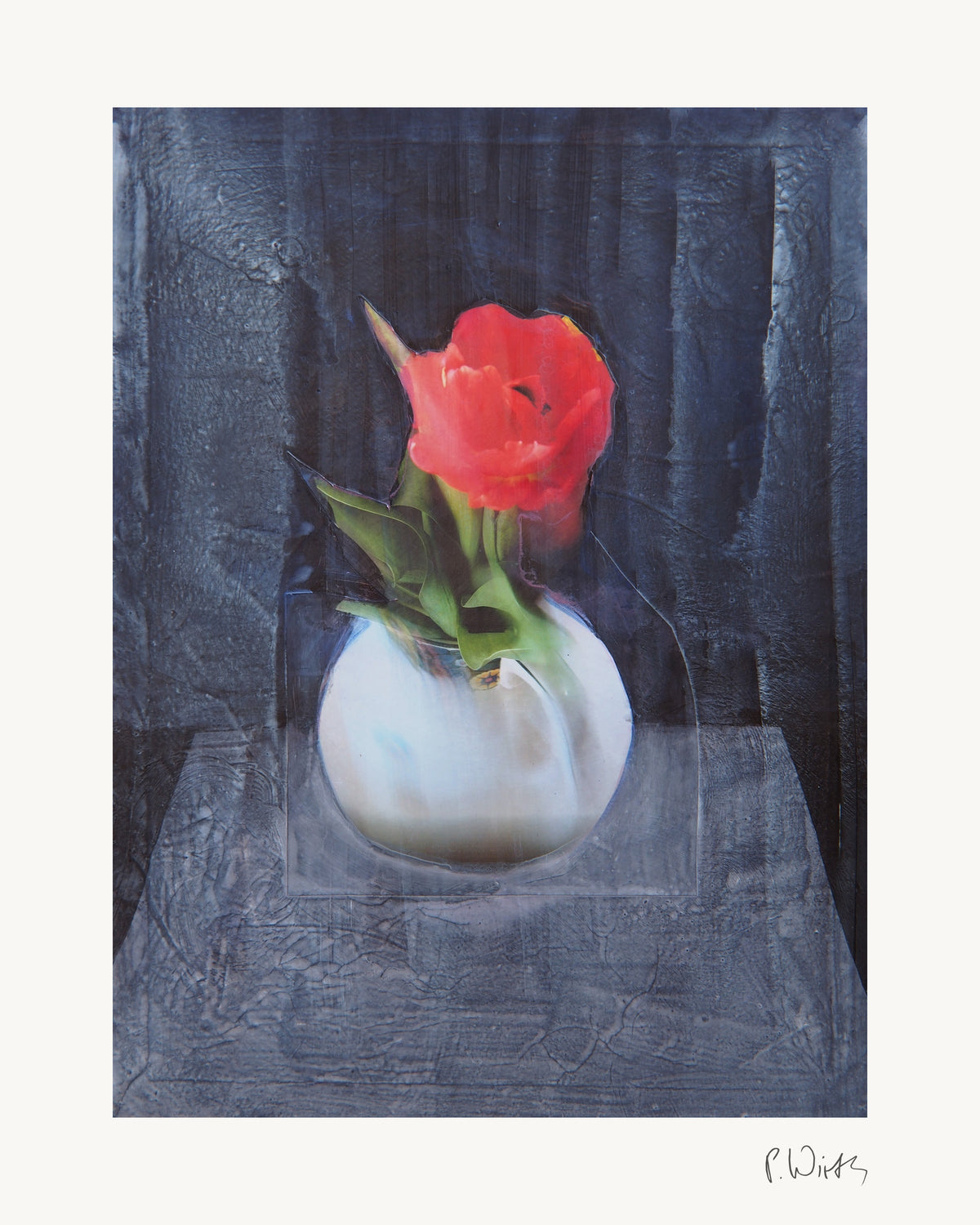 Rote Tulpe von Peter Wirth, das ganze Blatt mit weißem Rand und gedruckter Signatur