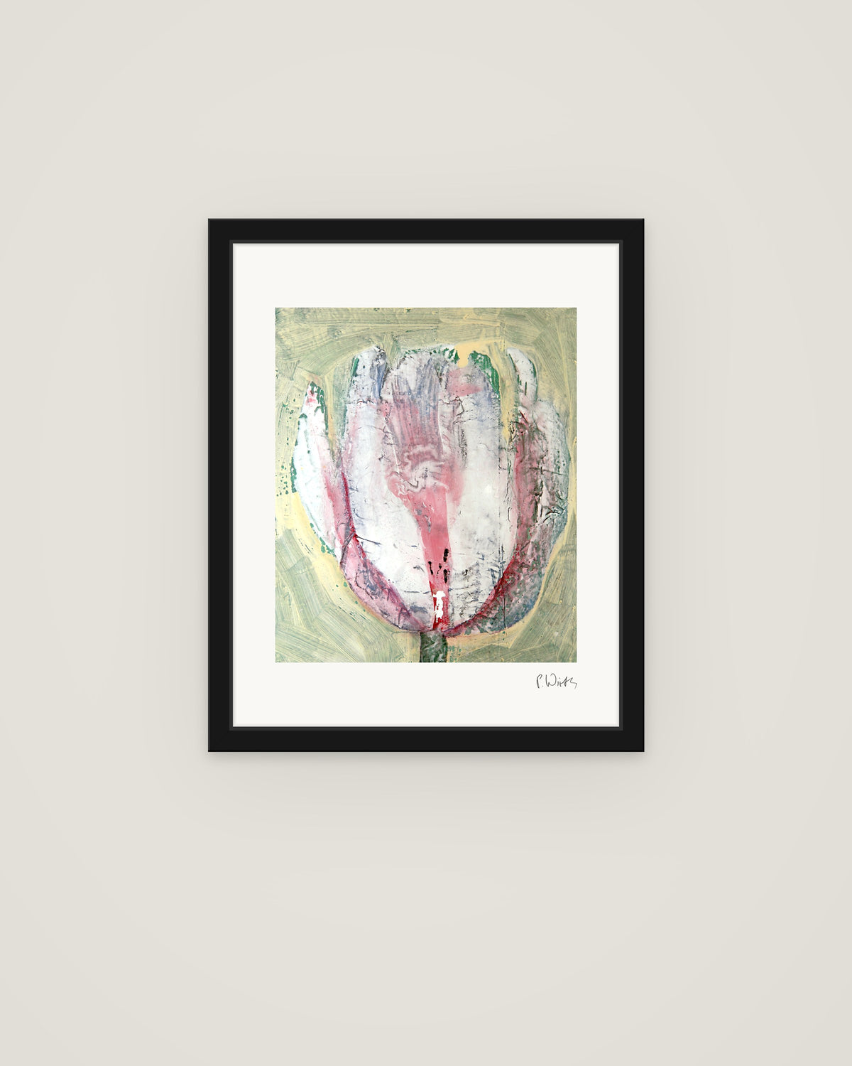 Tulpe in Weiß und Rosa von Peter Wirth, im schmalen schwarzen Holzrahmen