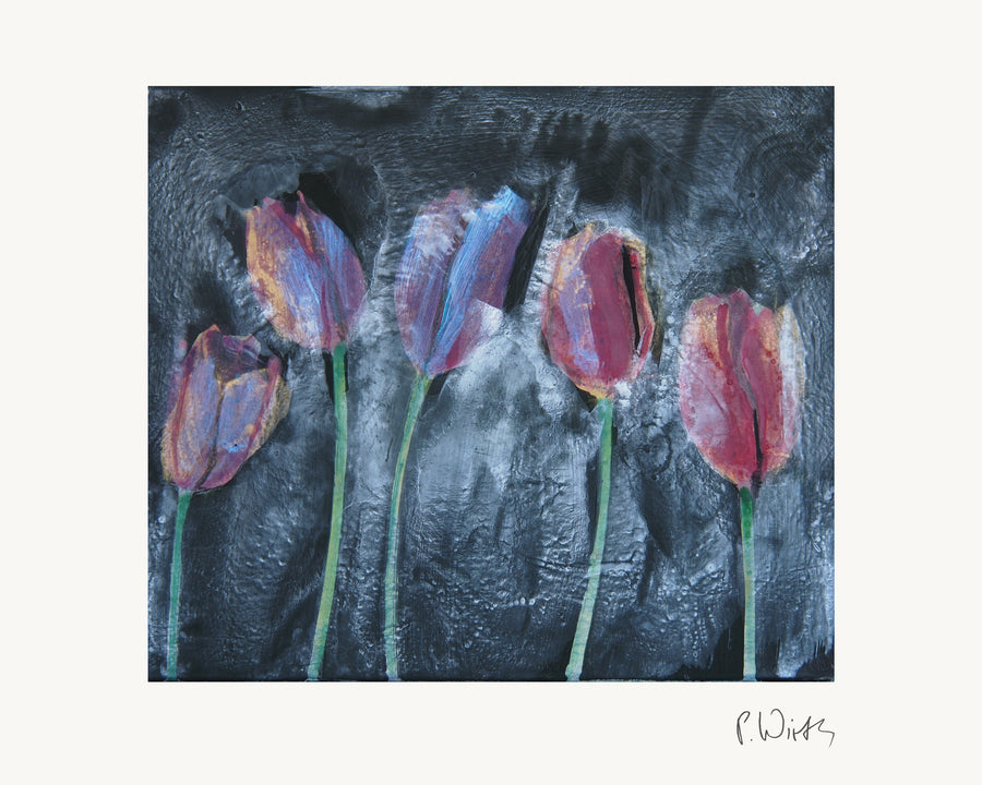 Five Tulips