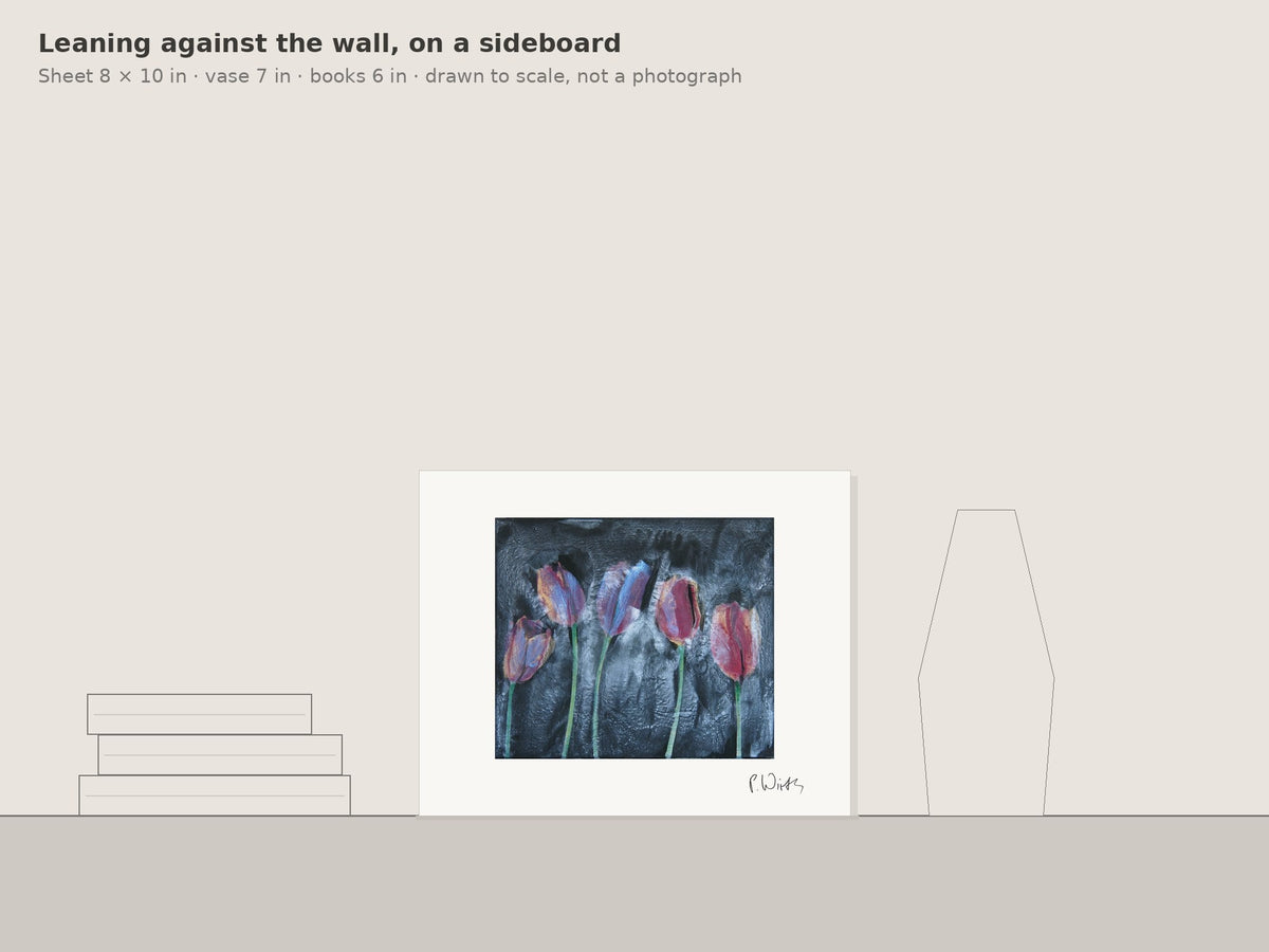 Five Tulips by Peter Wirth, leaning against the wall on a sideboard, drawn to scale