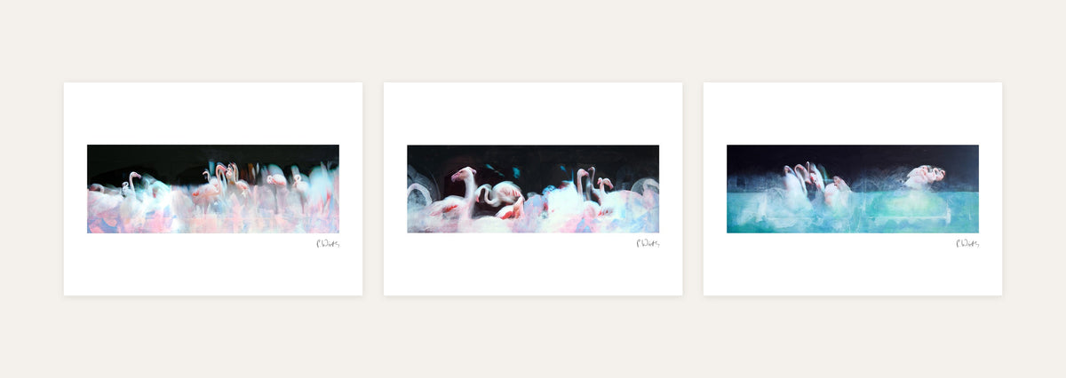 Flamingo Panoramas · Three – every sheet of the set with its white margin and printed signature, laid out side by side