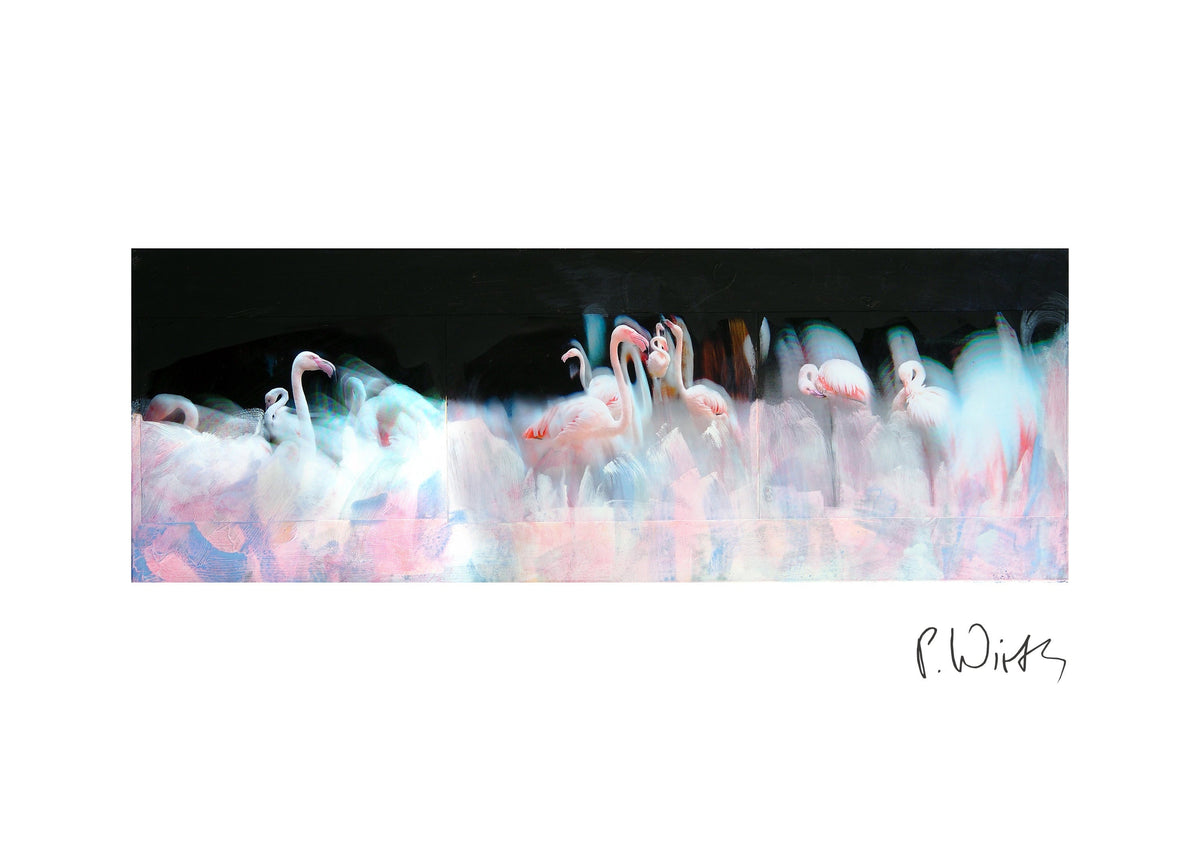 Flamingos against Black — fine art print after Peter Wirth, sheet with white border and signature