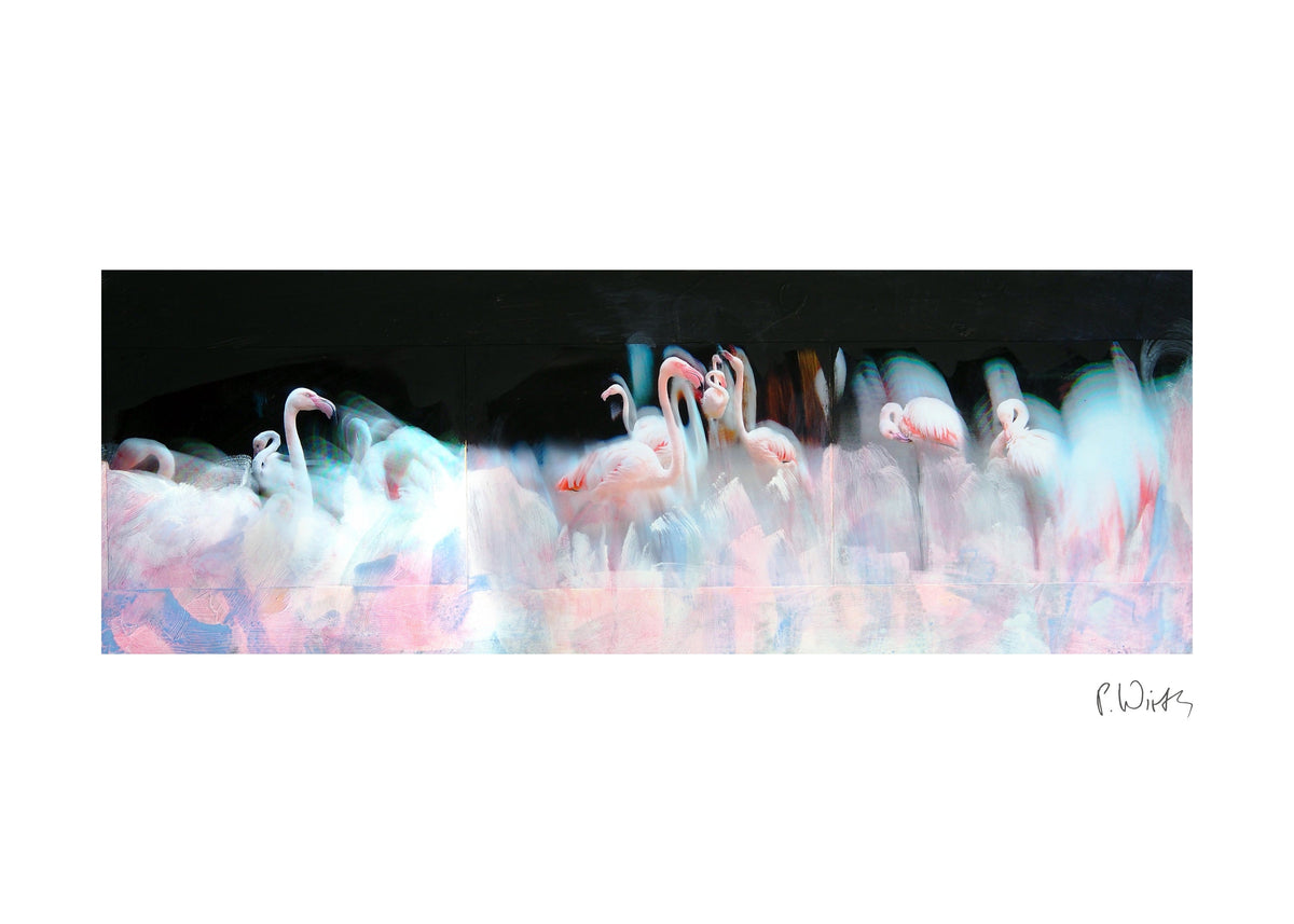 Flamingos vor Schwarz — Fine-Art-Druck nach Peter Wirth, Blatt mit weißem Rand und Signatur