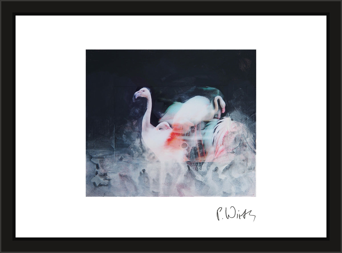 Flamingos in the Dark — framed in narrow black wood with acrylic glazing, no mount