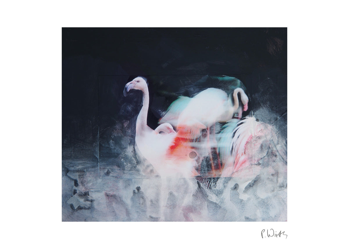 Flamingos im Dunkel — Fine-Art-Druck nach Peter Wirth, Blatt mit weißem Rand und Signatur