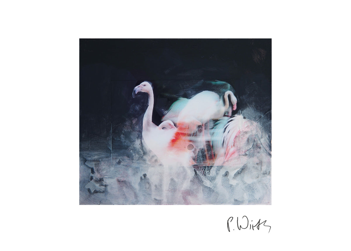 Flamingos in the Dark — fine art print after Peter Wirth, sheet with white border and signature