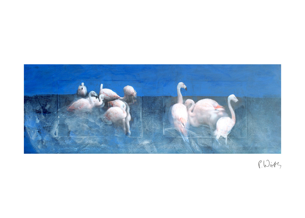 Flamingos under Blue Sky — fine art print after Peter Wirth, sheet with white border and signature