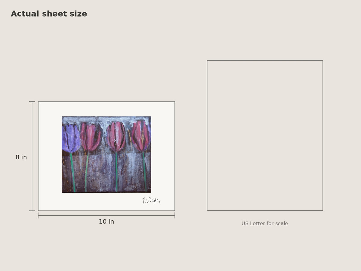 Four Tulips I by Peter Wirth, sheet size 8 × 10 in beside a US Letter sheet