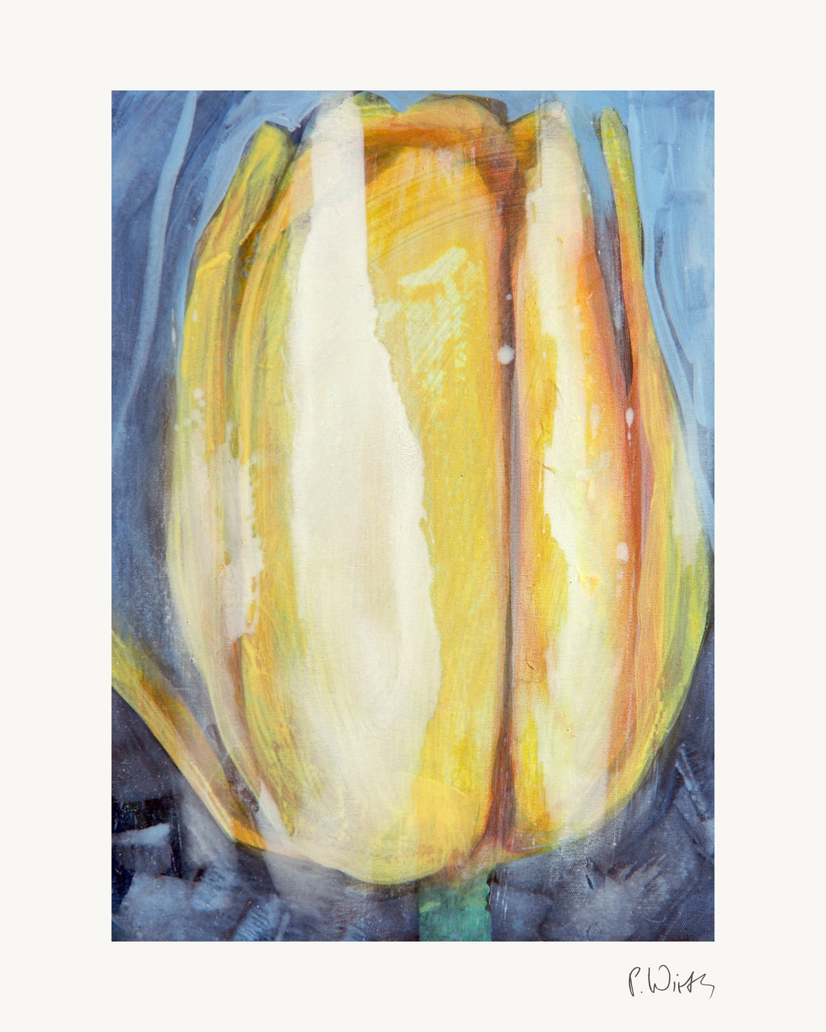 Tulpenblüte II von Peter Wirth, das ganze Blatt mit weißem Rand und gedruckter Signatur