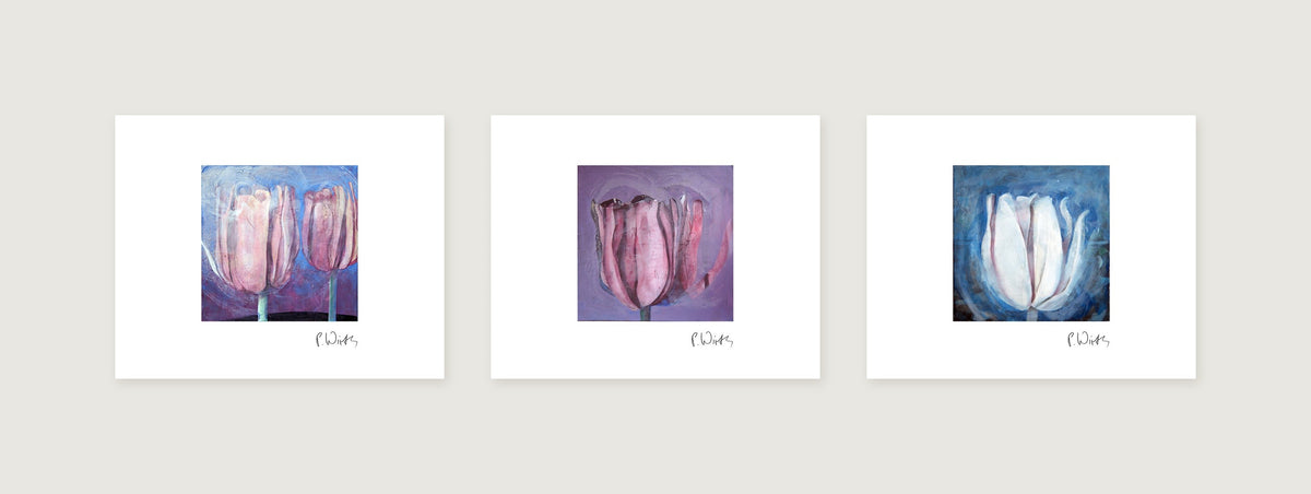 Drei Blätter nebeneinander: Drei rosa Tulpen · Tulpe auf Flieder · Weiße Tulpe auf Blau — Peter Wirth