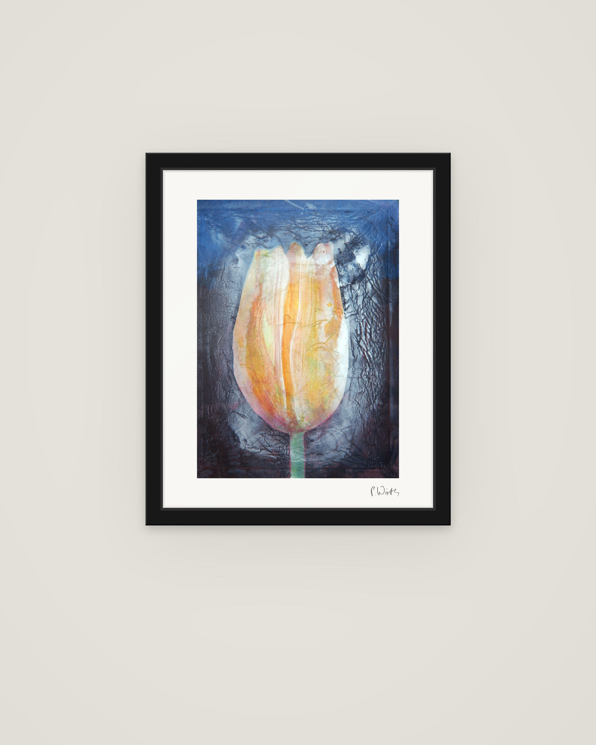 Tulip Blossom I by Peter Wirth, framed in slim black wood with acrylic glazing