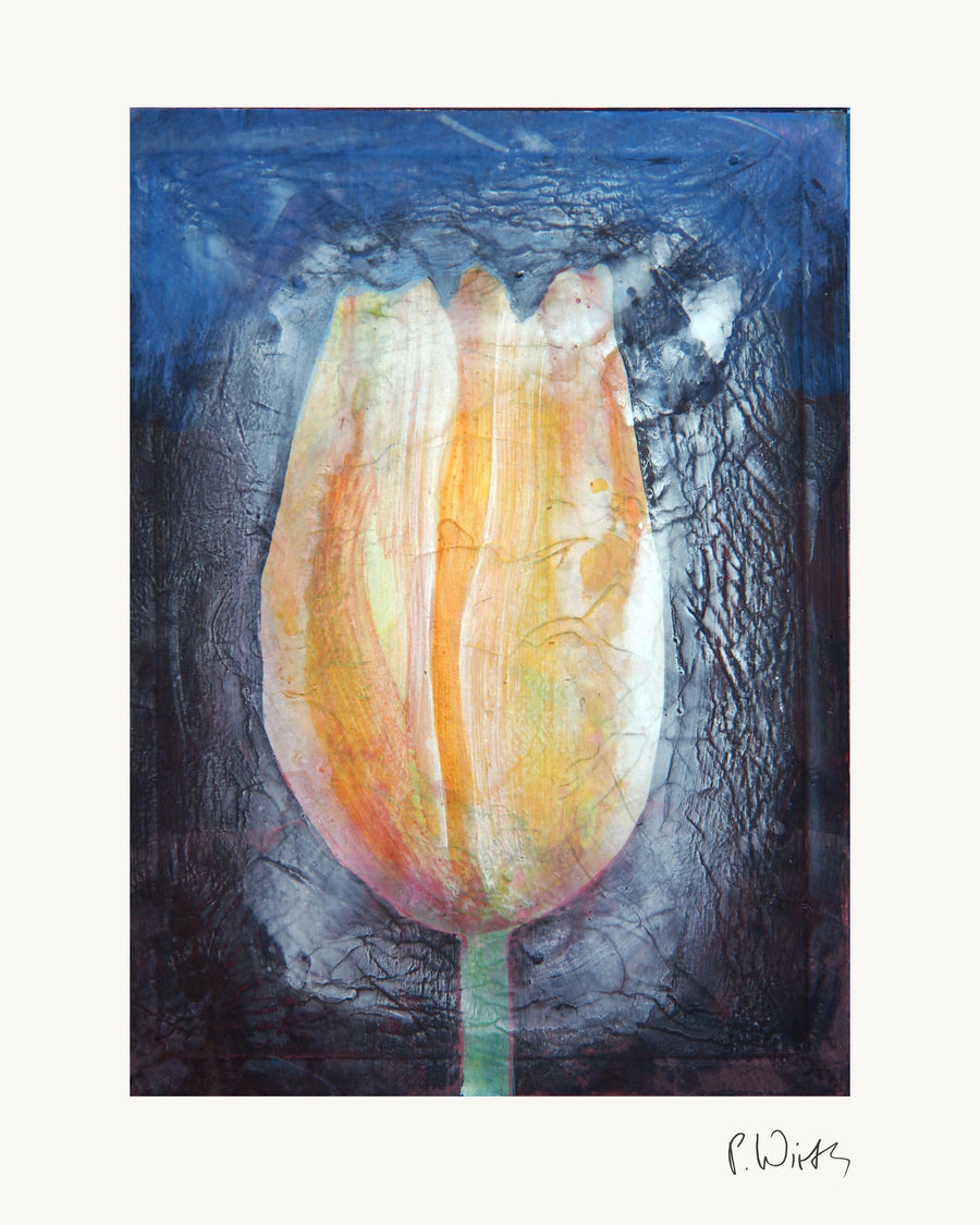 Tulip Blossom I