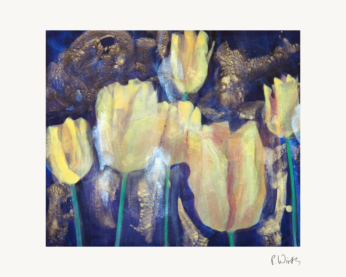 Tulips VI by Peter Wirth, the full sheet with its white margin and printed signature