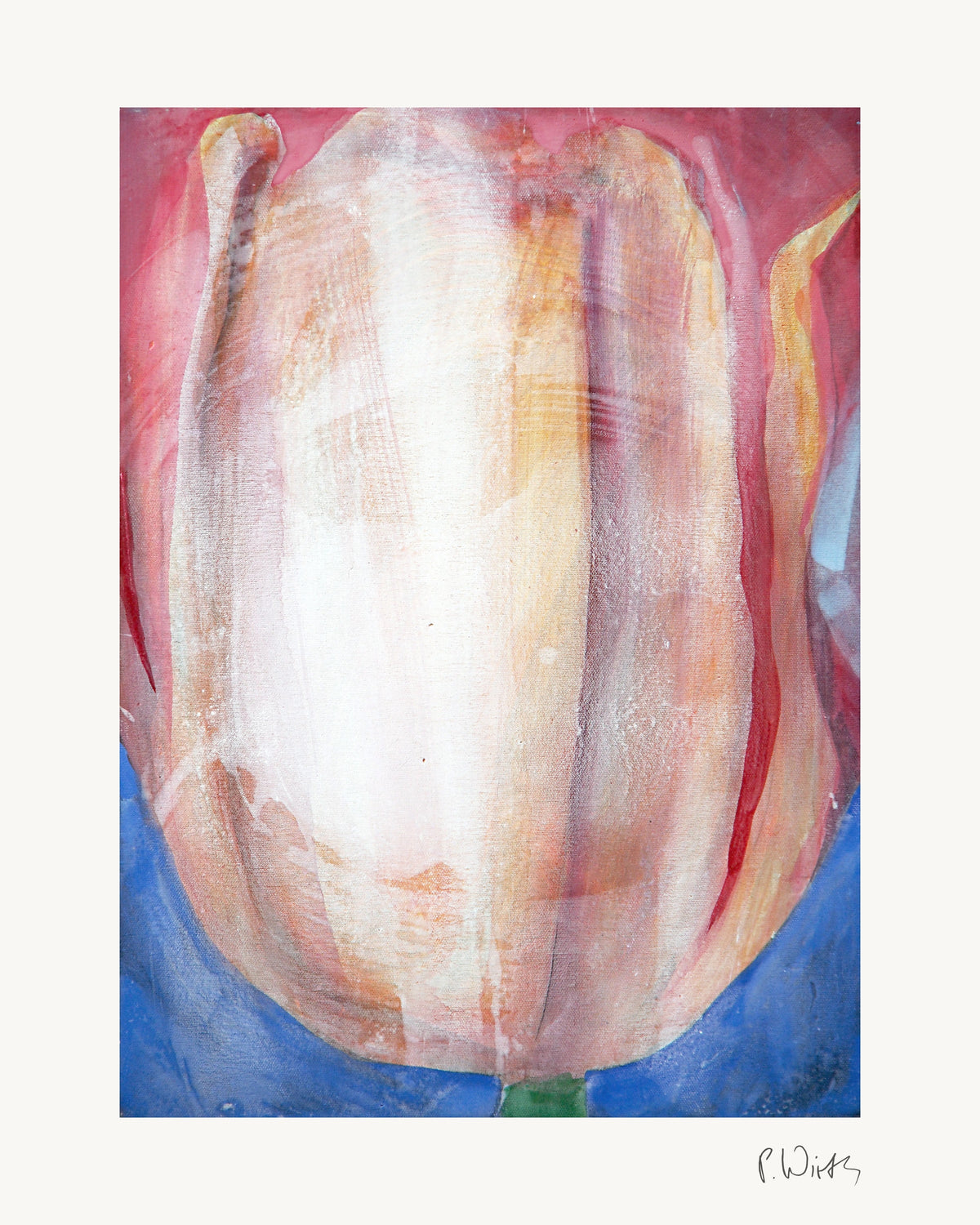 Tulpe II von Peter Wirth, das ganze Blatt mit weißem Rand und gedruckter Signatur