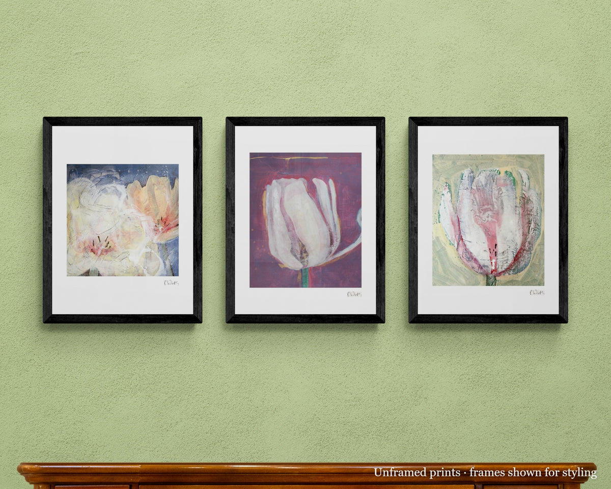 Pale Tulips · Three by Peter Wirth, the set shown framed on a wall – unframed prints, frames shown for styling