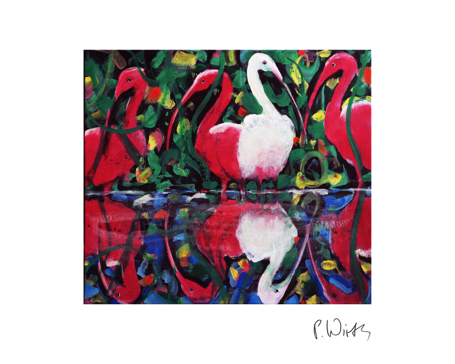 Red Ibises and One White
