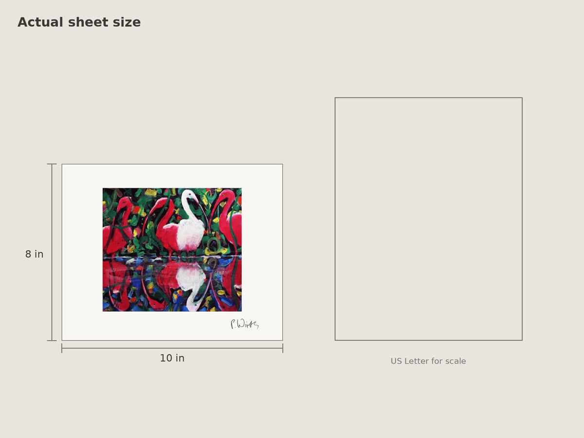 Red Ibises and One White by Peter Wirth, sheet size 8 × 10 in beside a US Letter sheet