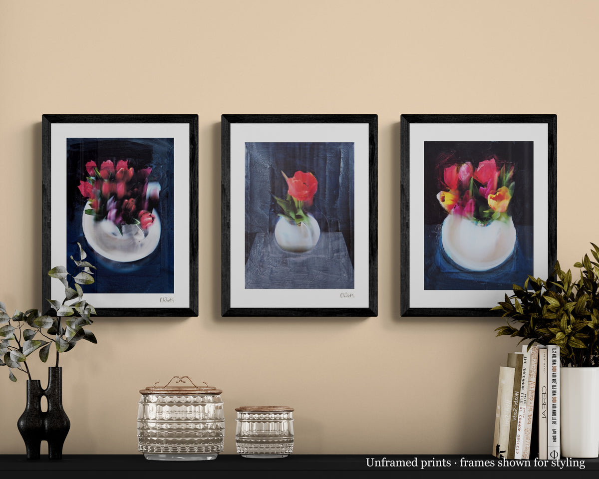 Red Tulips · Three by Peter Wirth, the set shown framed on a wall – unframed prints, frames shown for styling