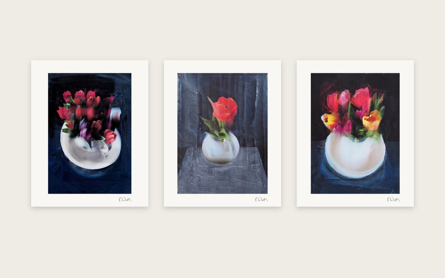 Red Tulips · Three
