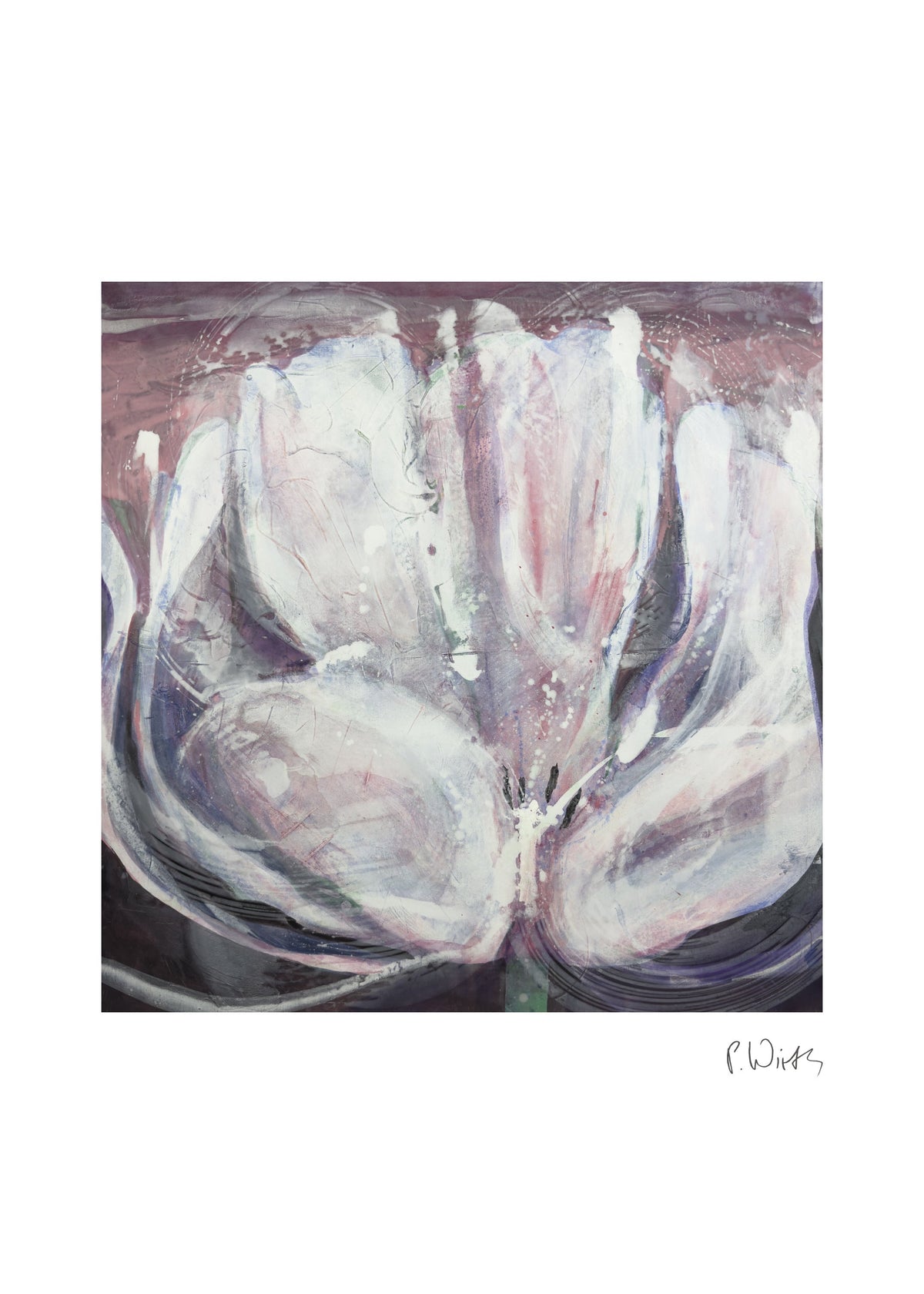 Die große weiße Tulpe — Fine-Art-Druck nach Peter Wirth, Blatt mit weißem Rand und Signatur