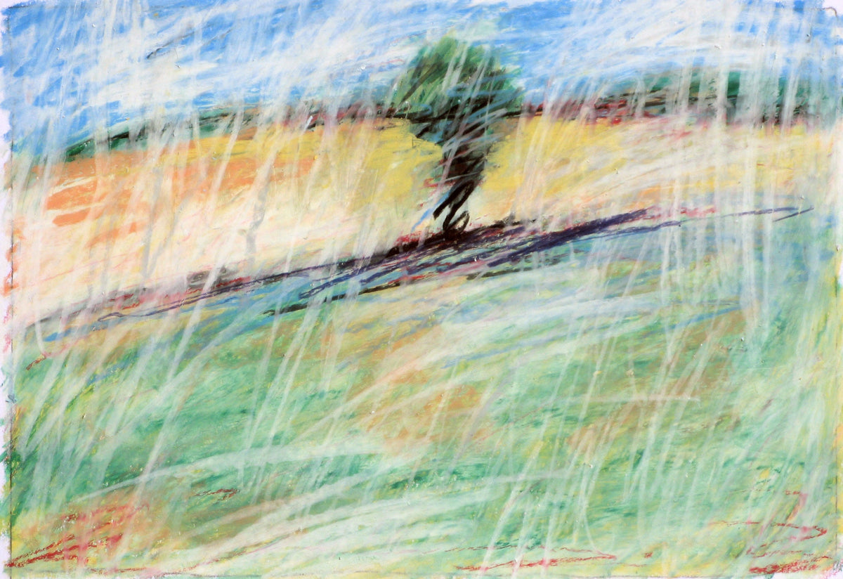 Ein einzelner Baum auf der Kante eines Hangs, ein ockerfarbenes Feldband dahinter, ein langer dunkler Schatten davor — Peter Wirth
