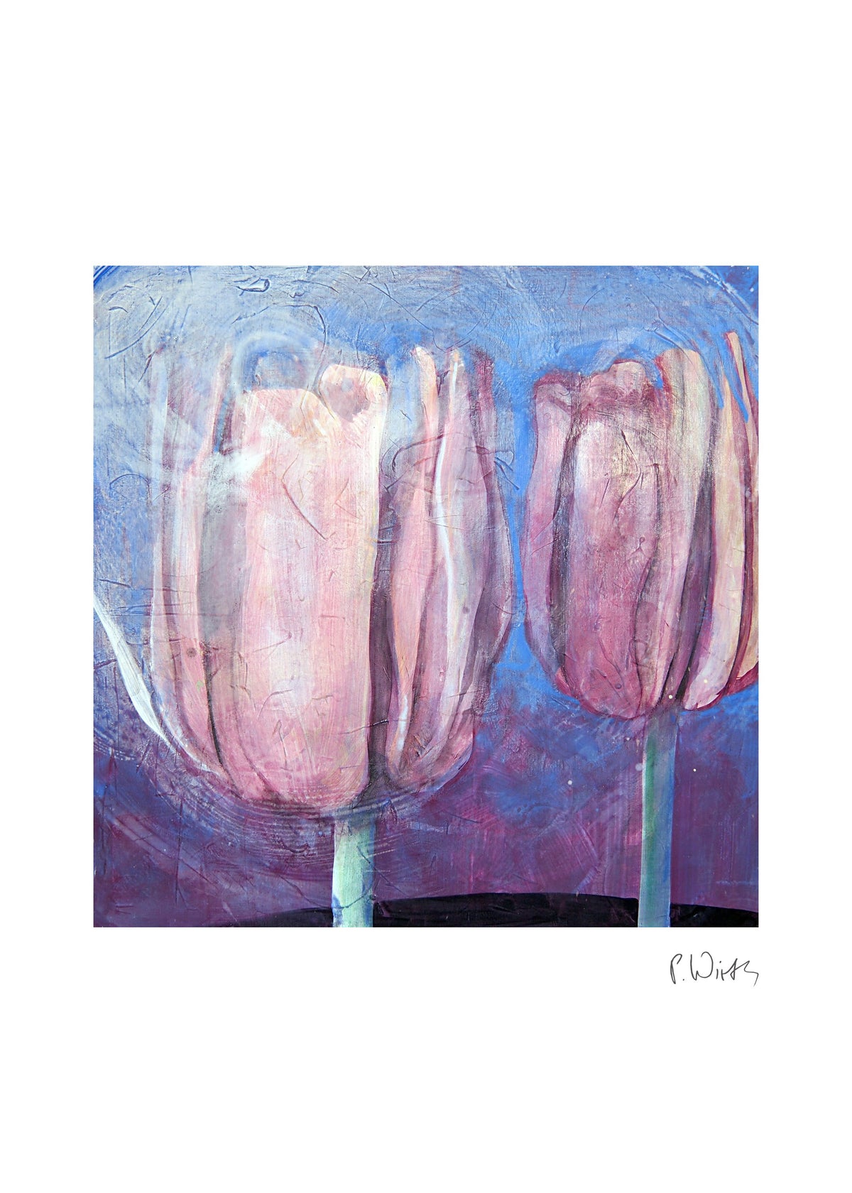 Three Pink Tulips — fine art print after Peter Wirth, sheet with white border and signature