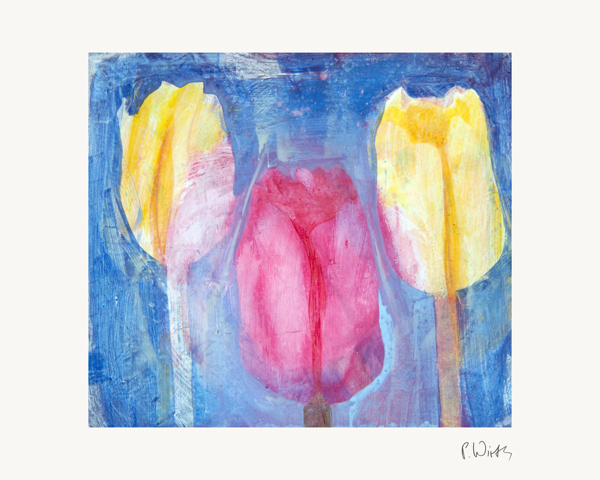 Tulips III by Peter Wirth, the full sheet with its white margin and printed signature