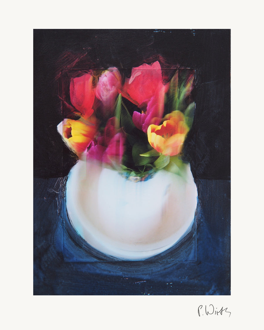 Tulips IX