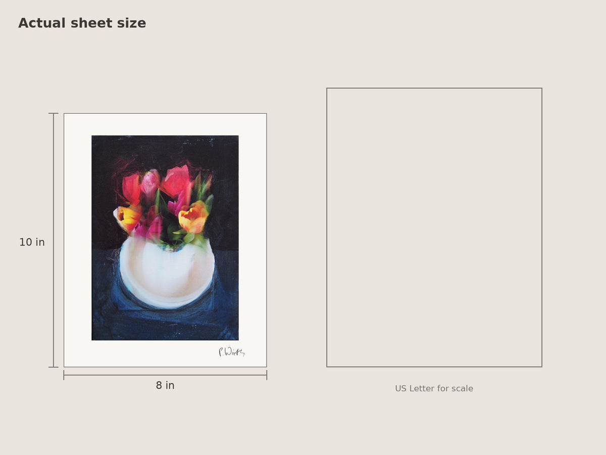 Tulips IX by Peter Wirth, sheet size 8 × 10 in beside a US Letter sheet