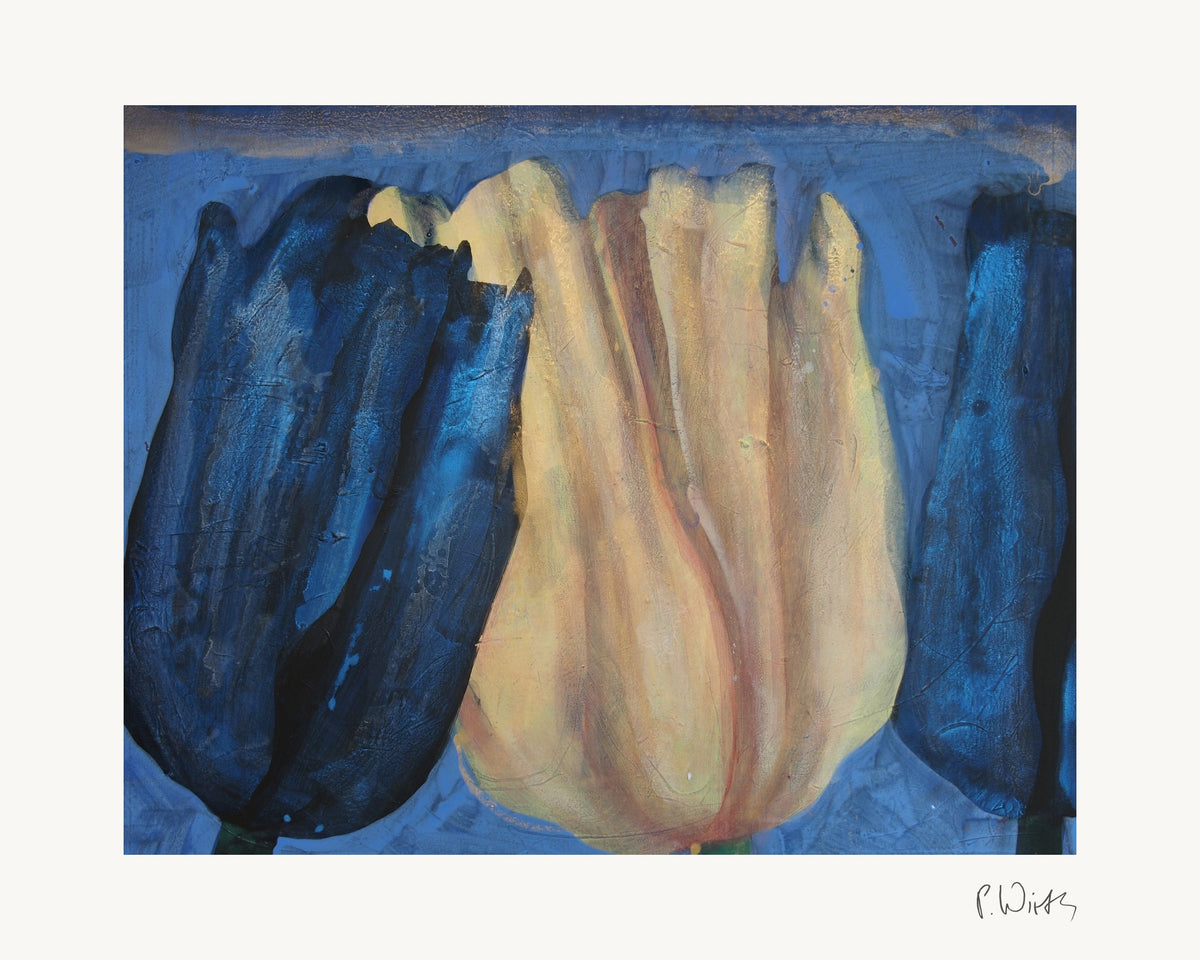 Drei Tulpen in Blau und Creme von Peter Wirth, das ganze Blatt mit weißem Rand und gedruckter Signatur