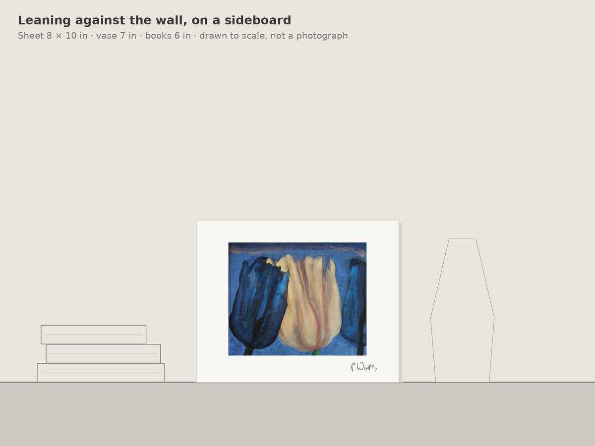 Three Enlarged Tulip Blossoms by Peter Wirth, leaning against the wall on a sideboard, drawn to scale
