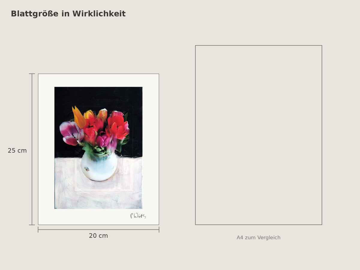 Tulpen X von Peter Wirth, Blattgröße 20 × 25 cm neben einem A4-Blatt
