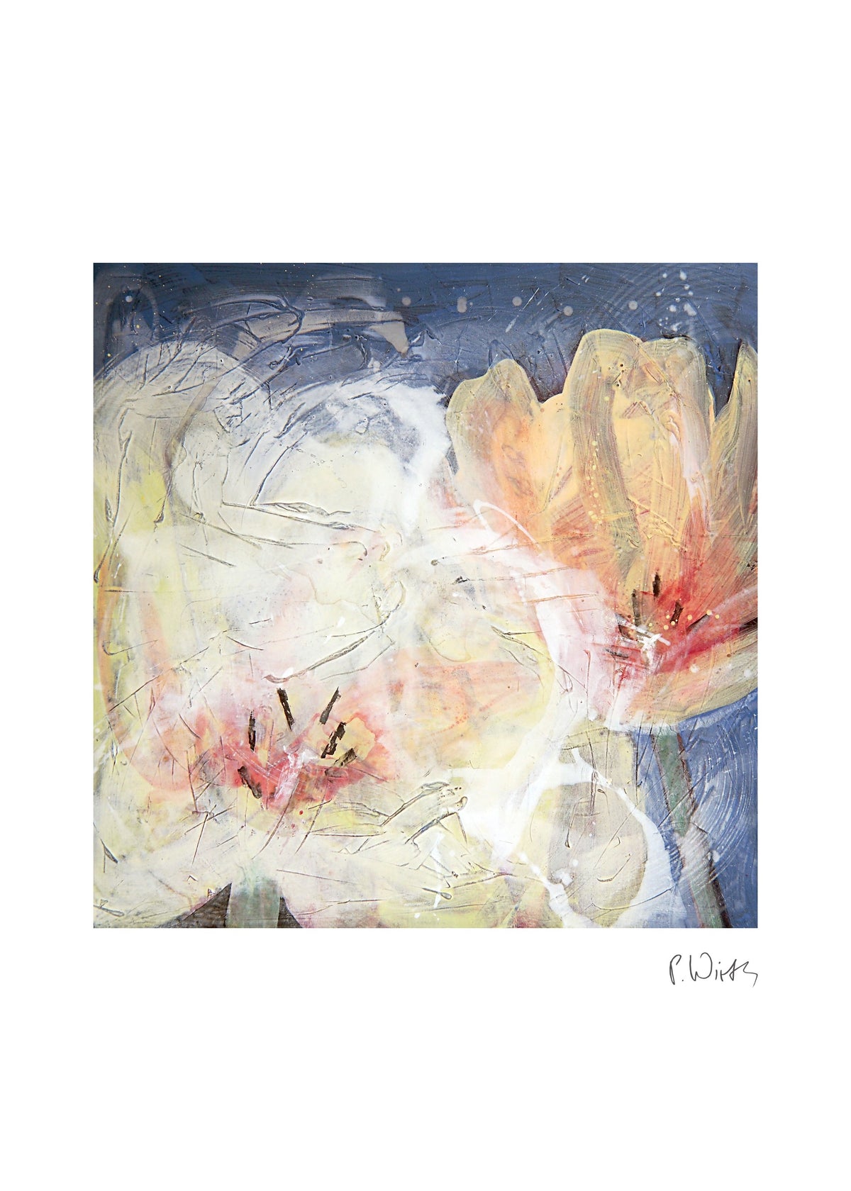 Two Pale Tulips — fine art print after Peter Wirth, sheet with white border and signature